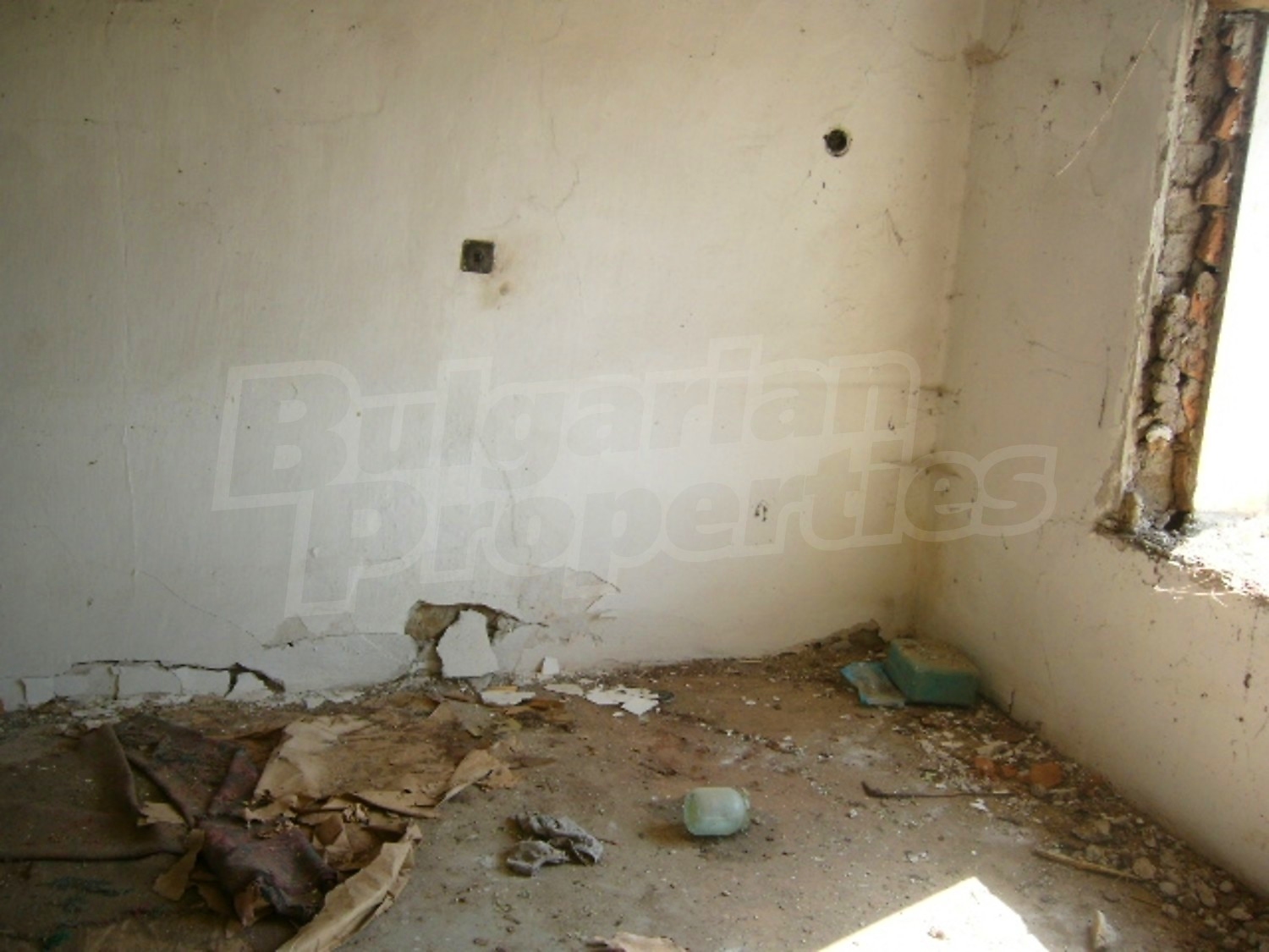 Gallery Picture 7