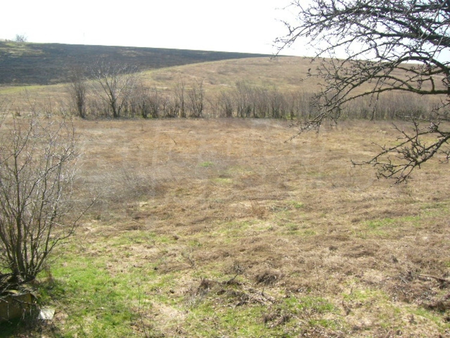 Gallery Picture 8