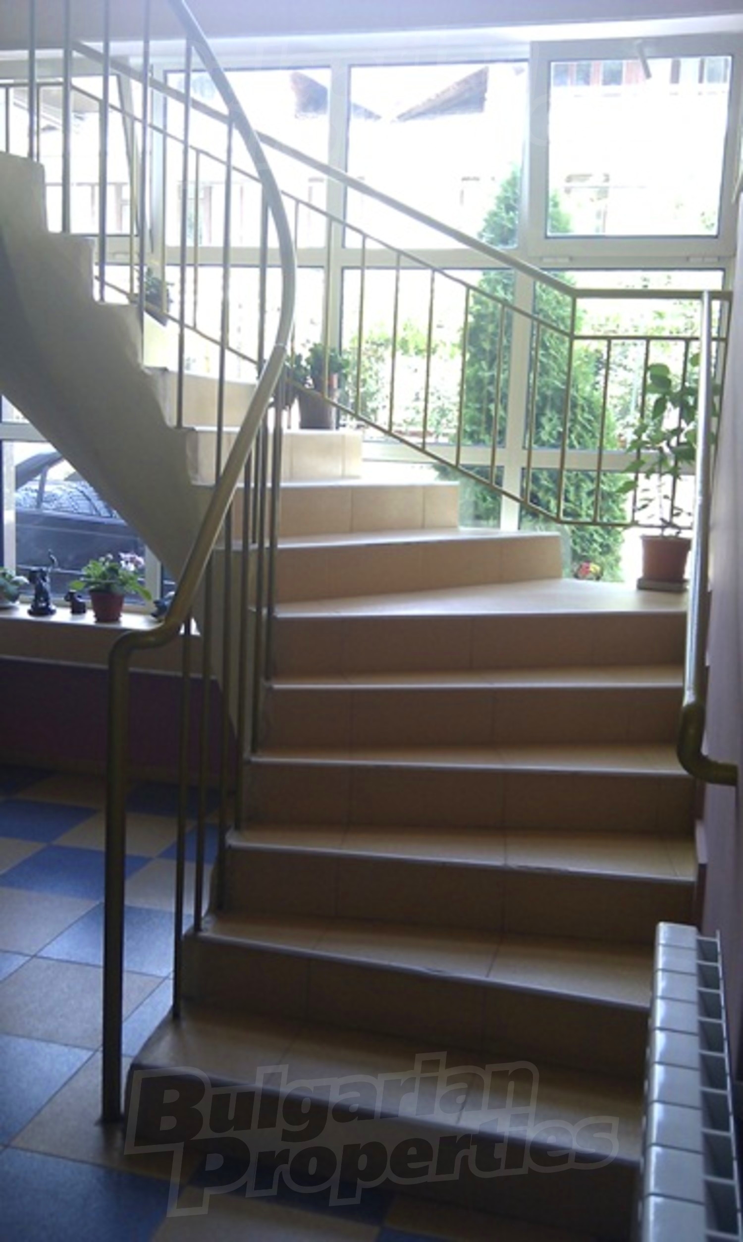 Gallery Picture 16