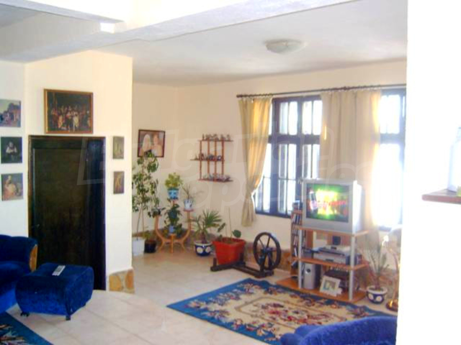 Gallery Picture 5