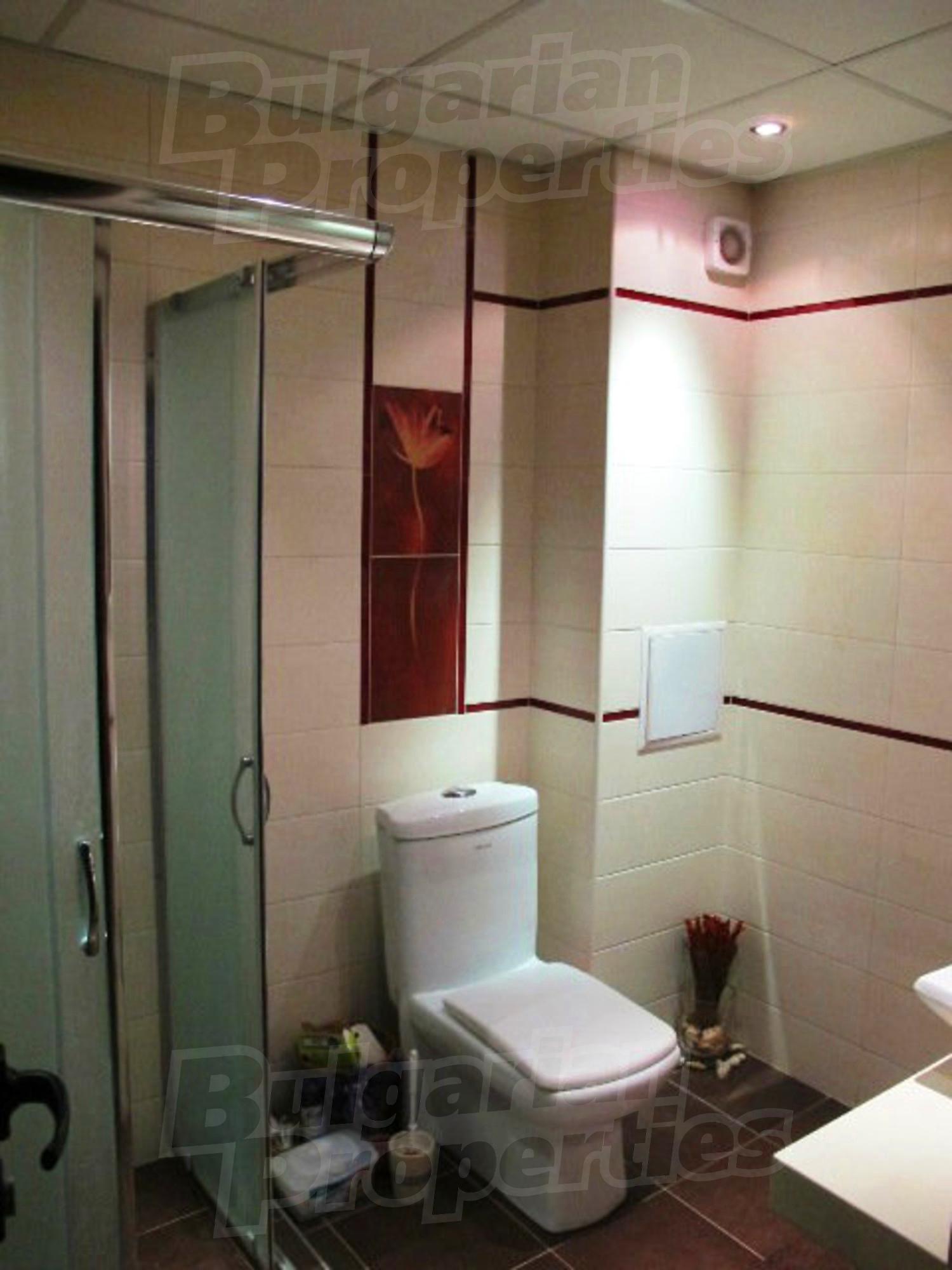 Gallery Picture 10