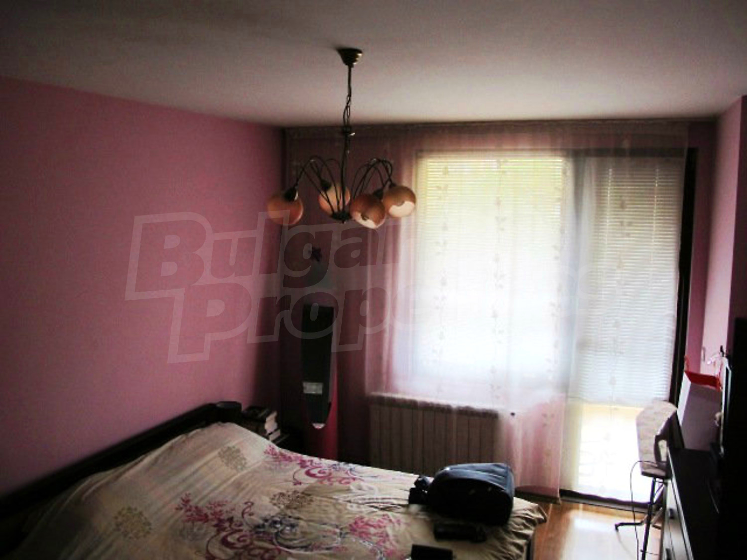 Gallery Picture 13