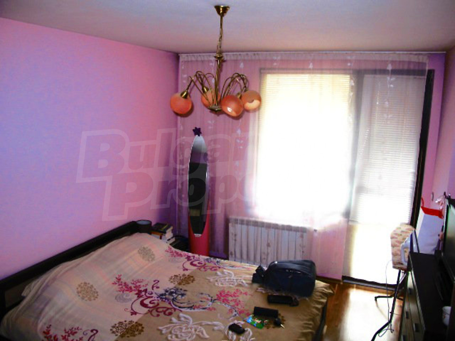 Gallery Picture 14