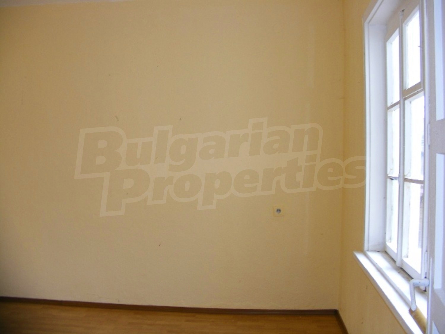 Gallery Picture 10