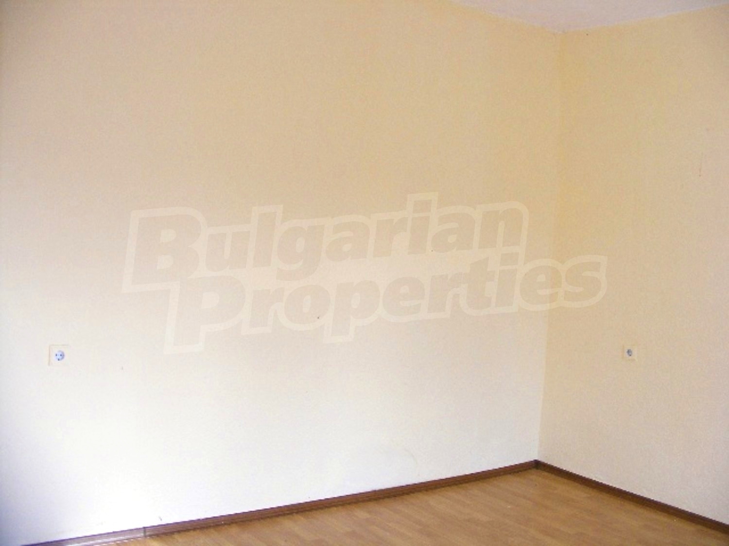 Gallery Picture 11