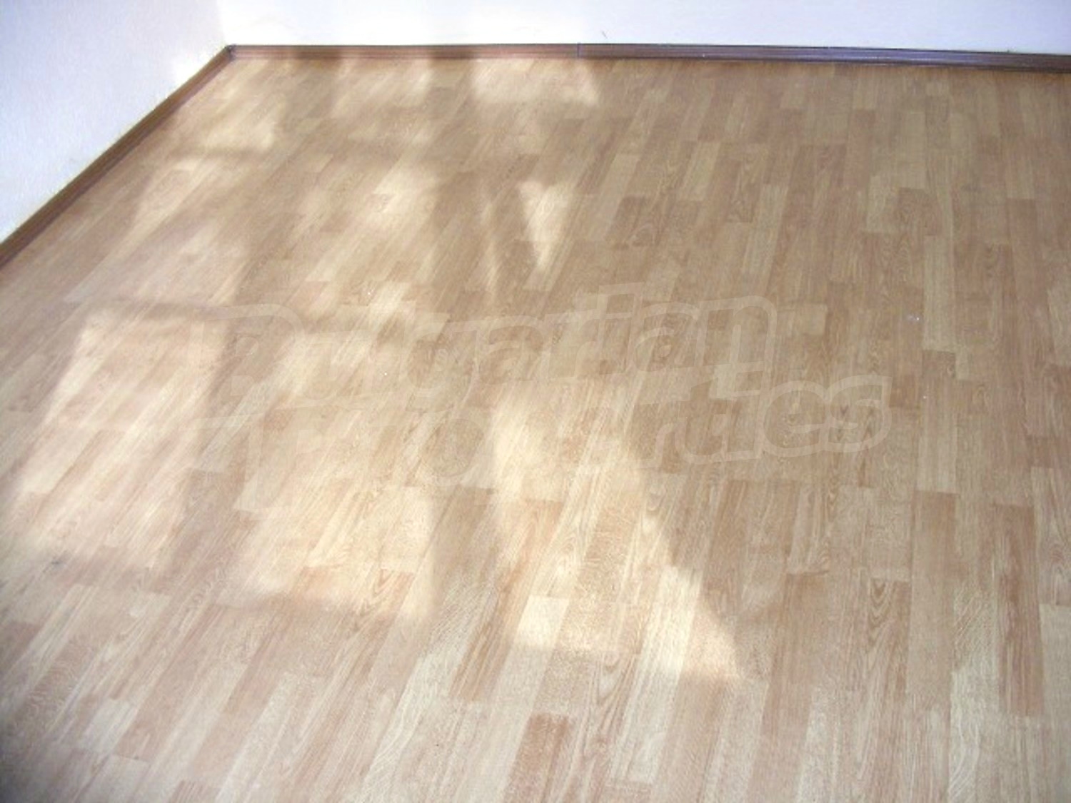 Gallery Picture 14