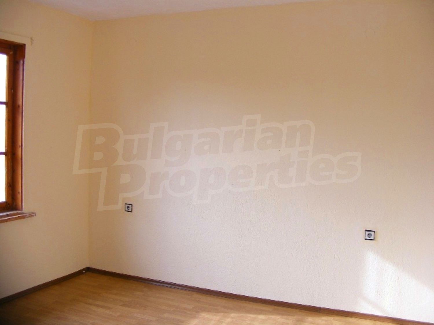 Gallery Picture 15