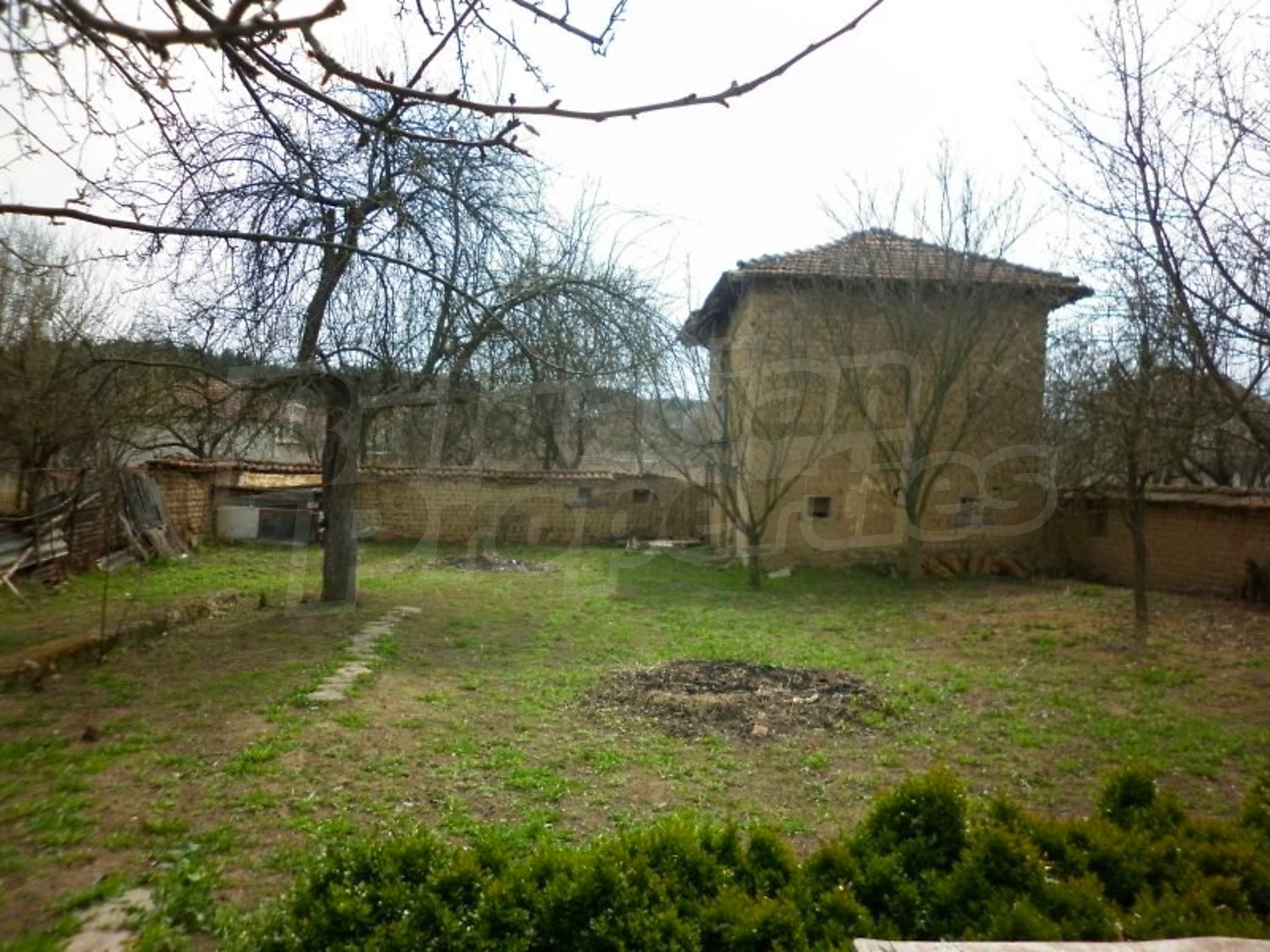 Gallery Picture 26