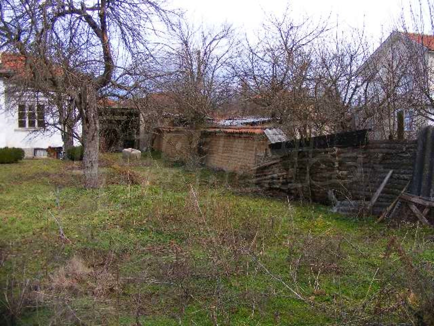 Gallery Picture 27