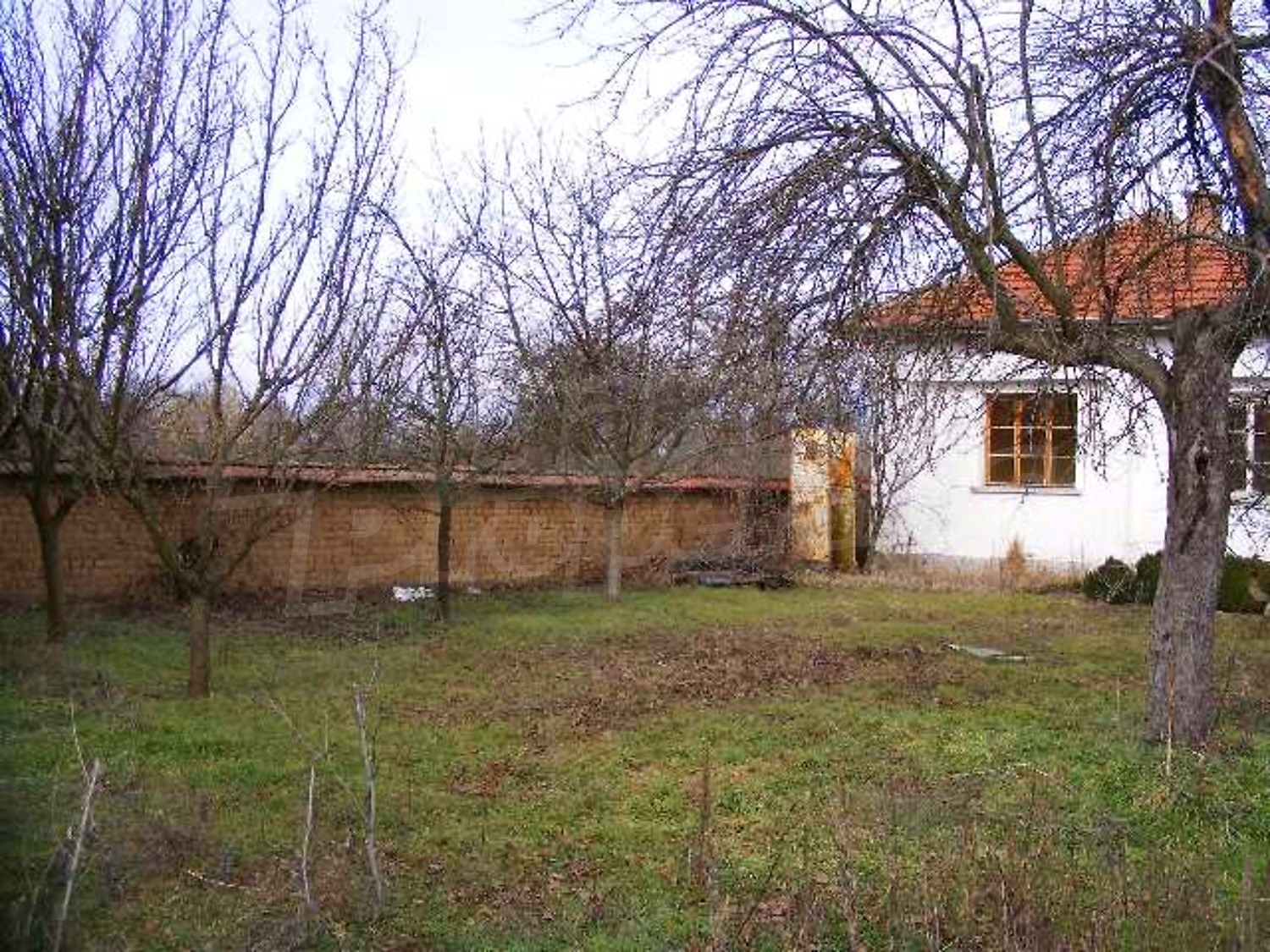 Gallery Picture 28