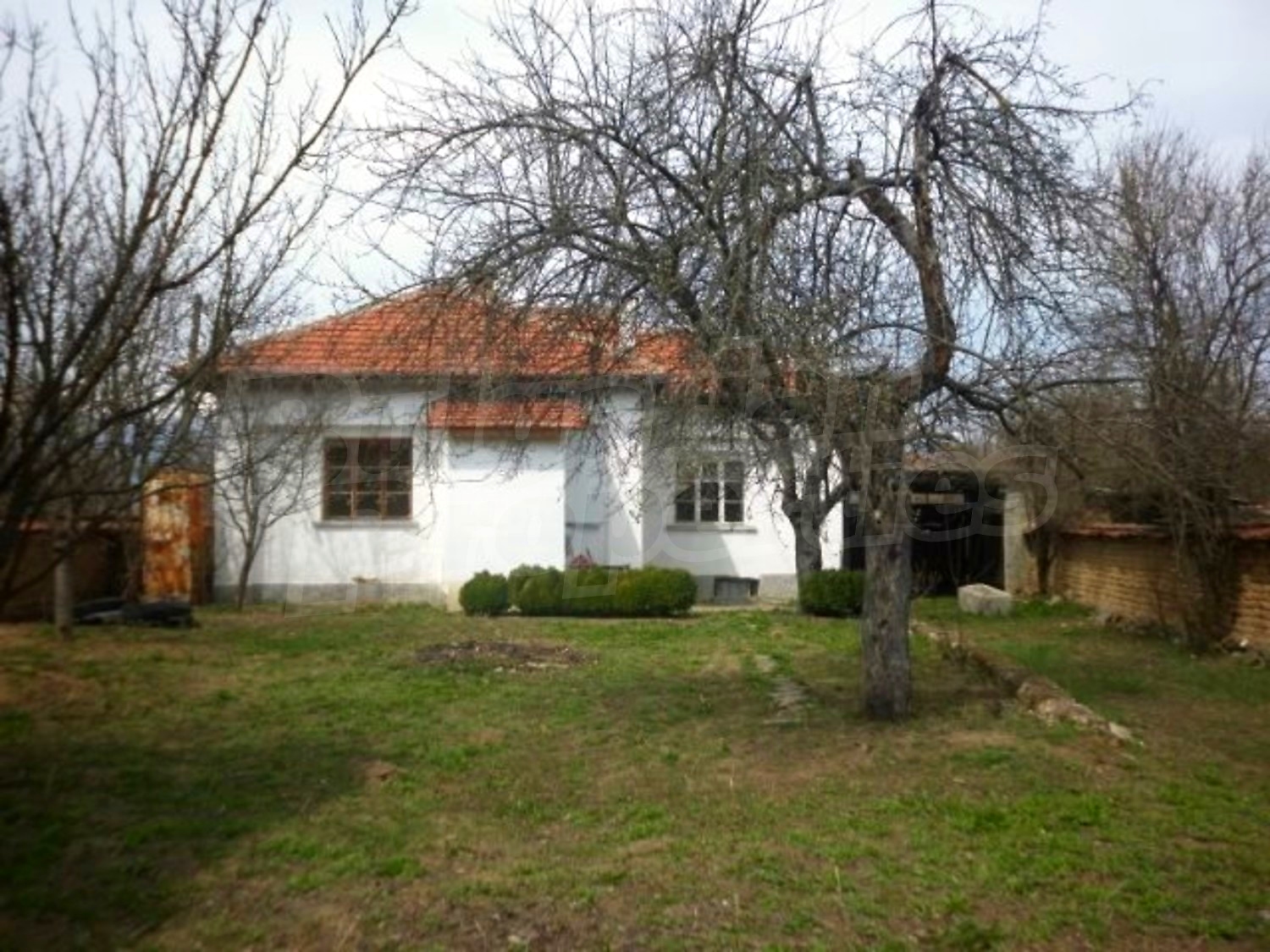 Gallery Picture 3