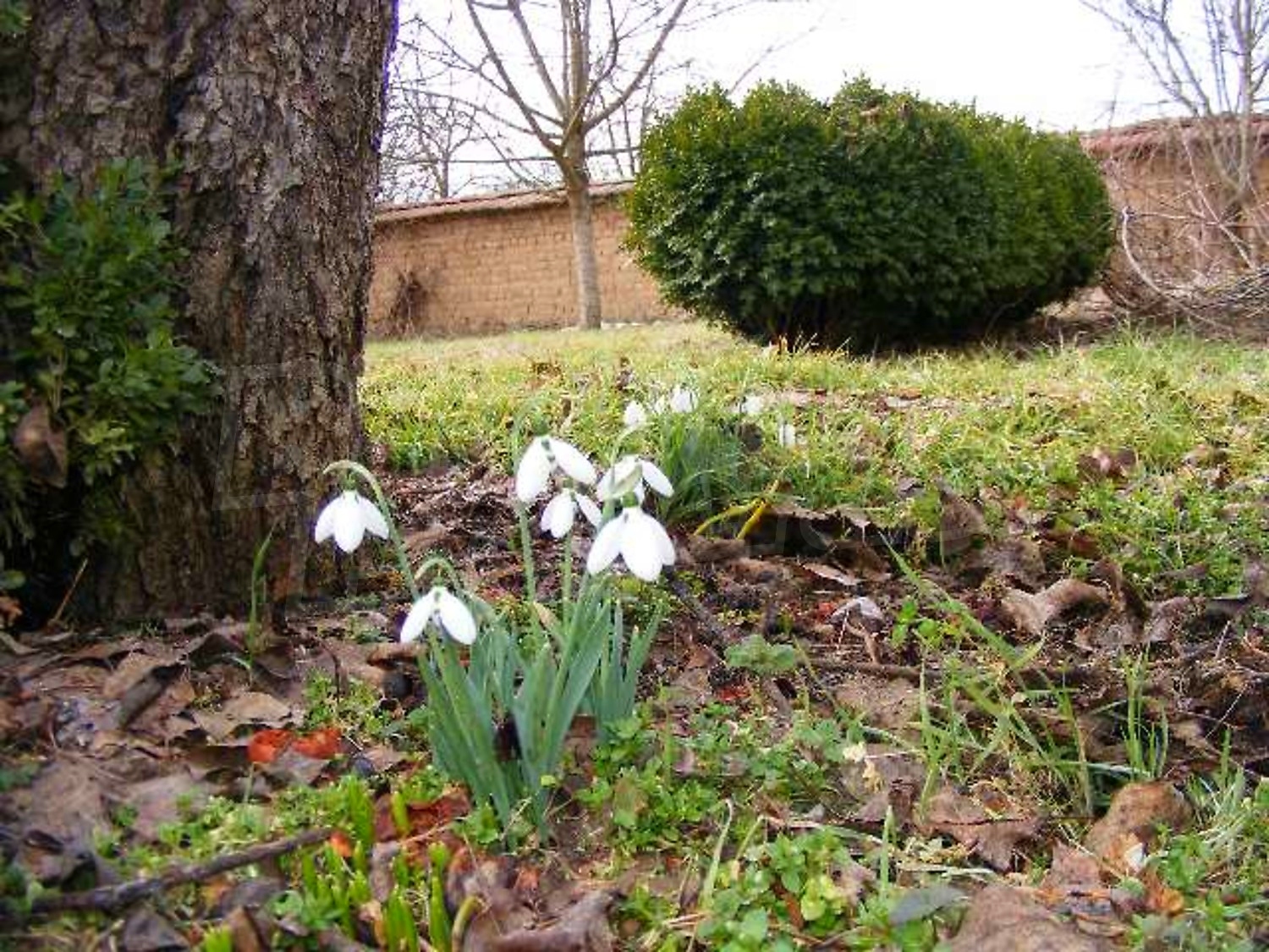Gallery Picture 29