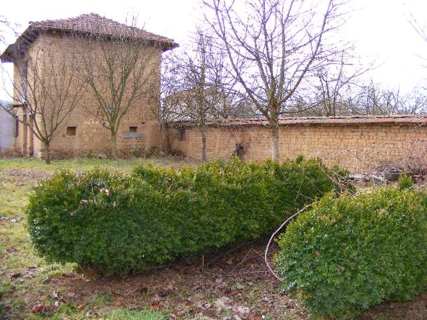 Gallery Picture 30