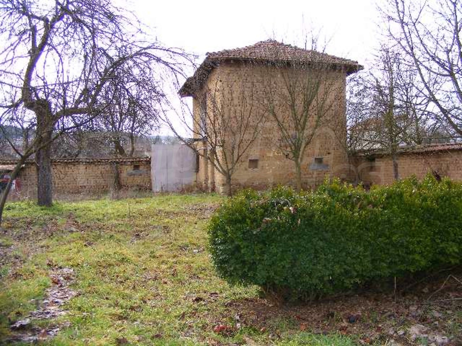 Gallery Picture 31