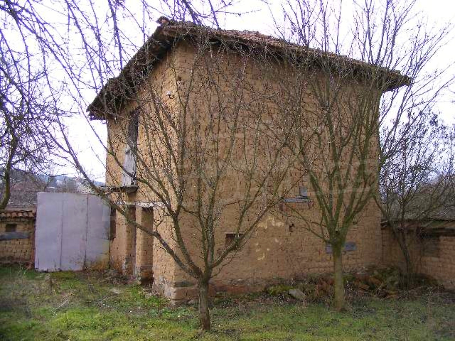 Gallery Picture 33