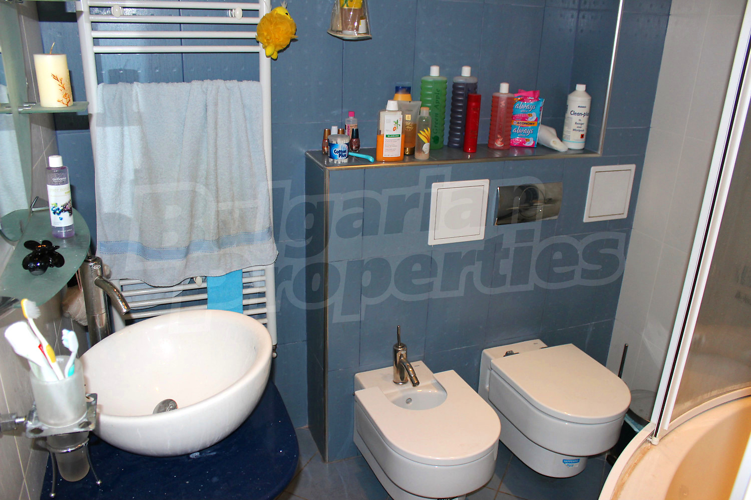 Gallery Picture 11