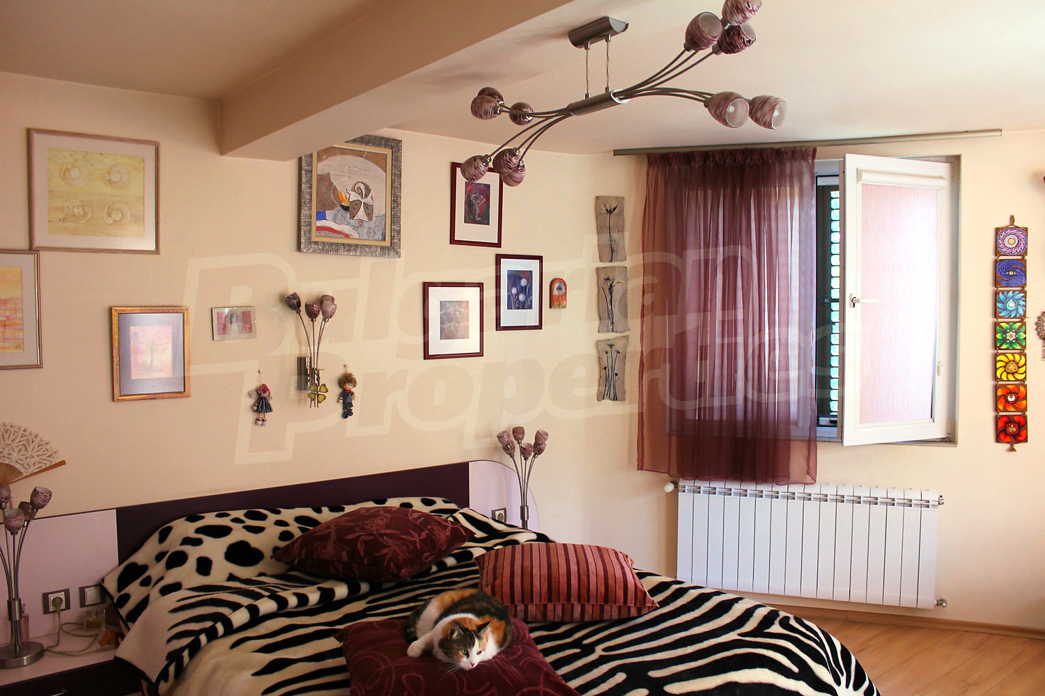 Gallery Picture 13