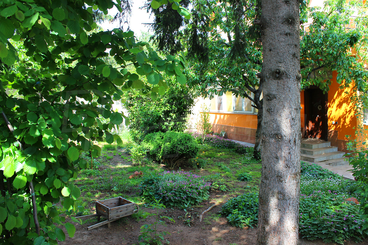 Gallery Picture 28