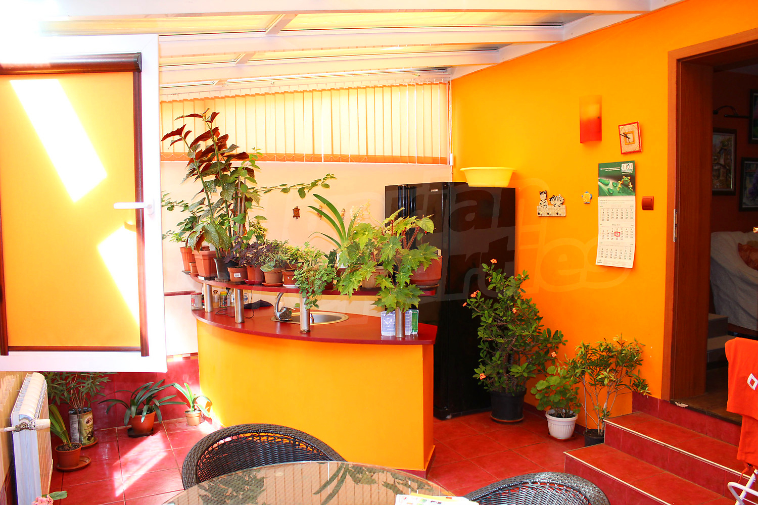 Gallery Picture 7