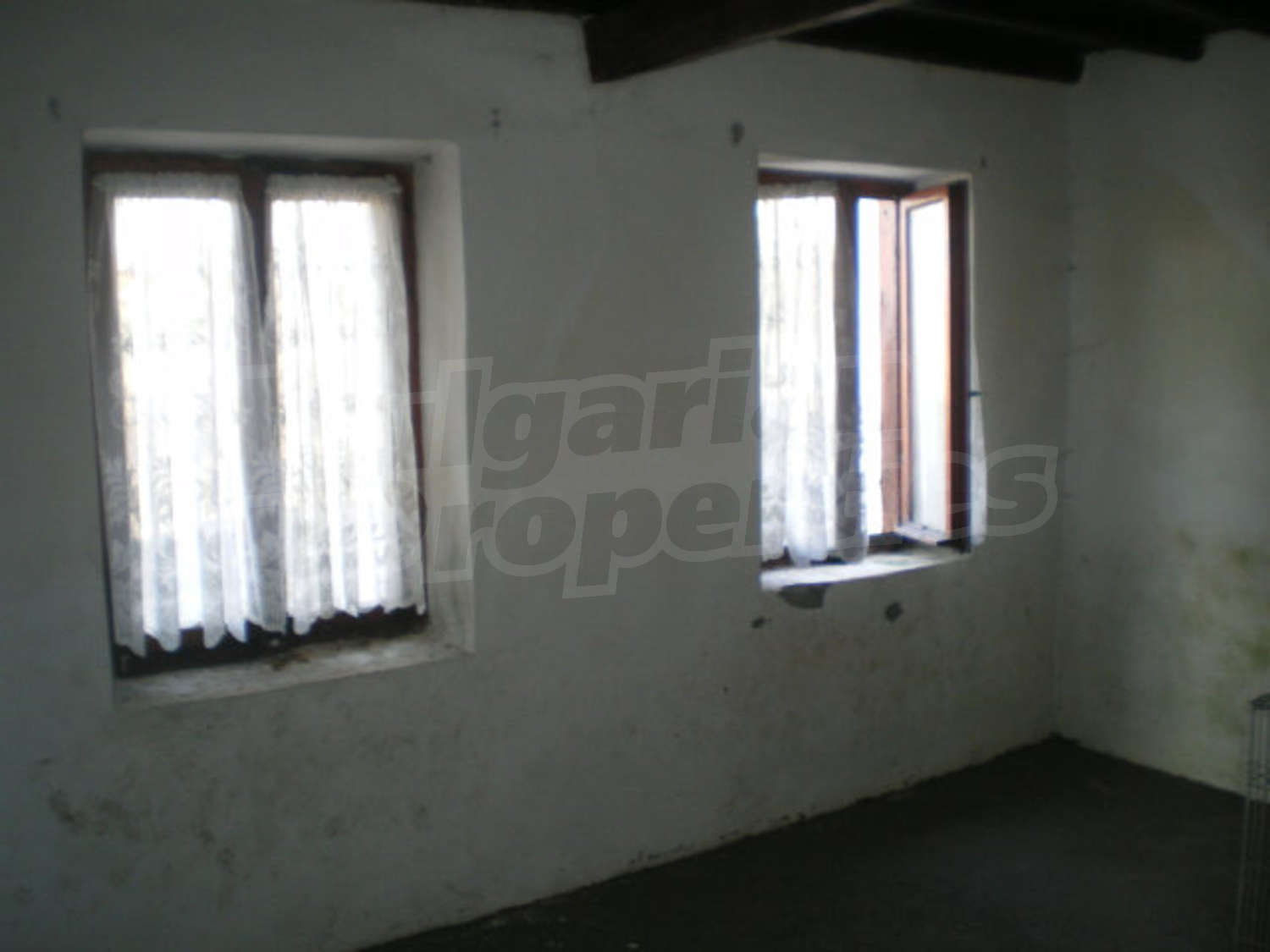 Gallery Picture 10