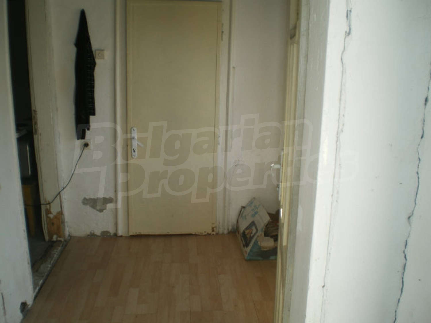 Gallery Picture 14