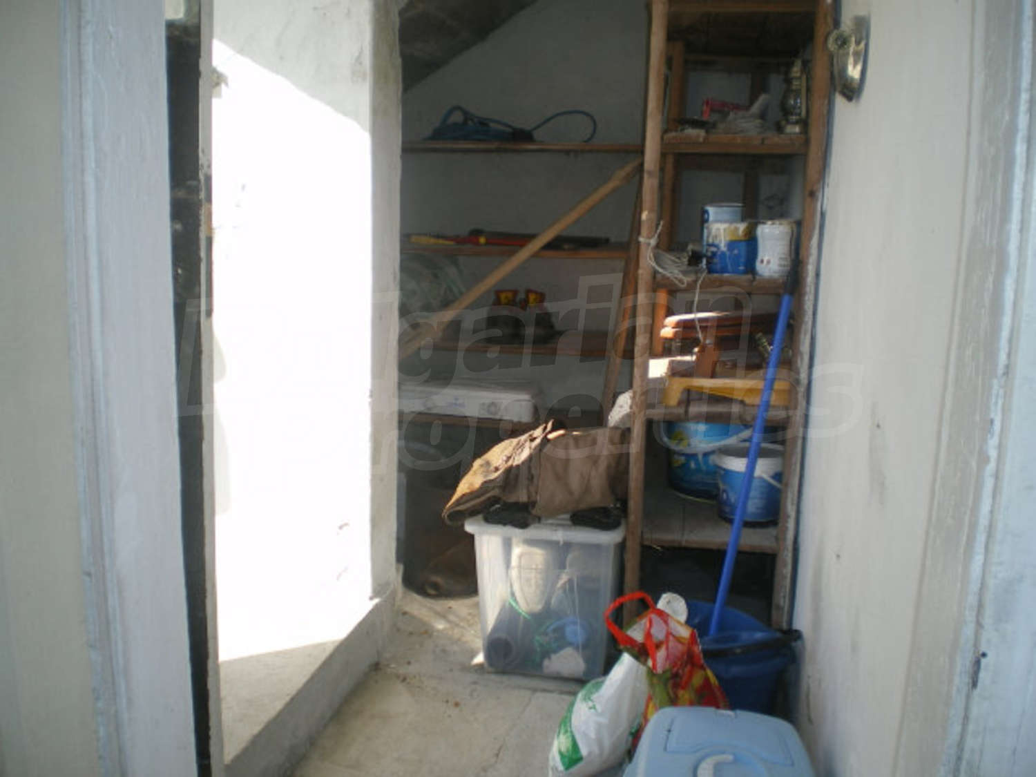 Gallery Picture 16