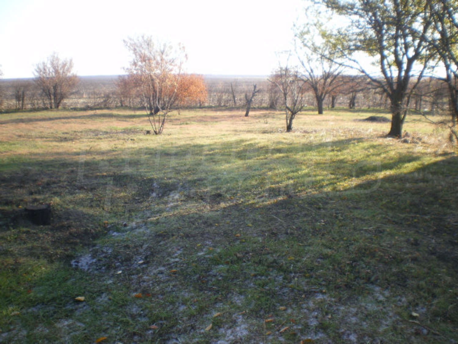 Gallery Picture 21