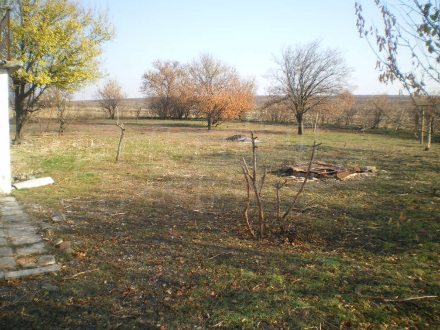 Gallery Picture 23