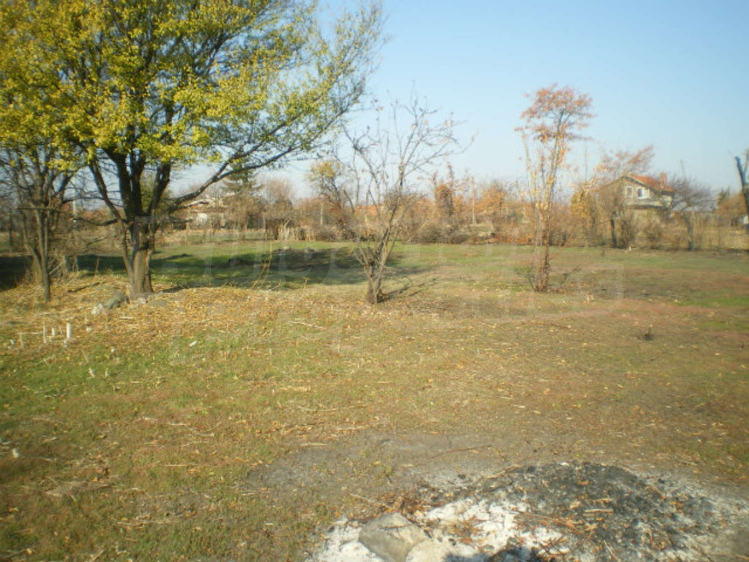 Gallery Picture 25
