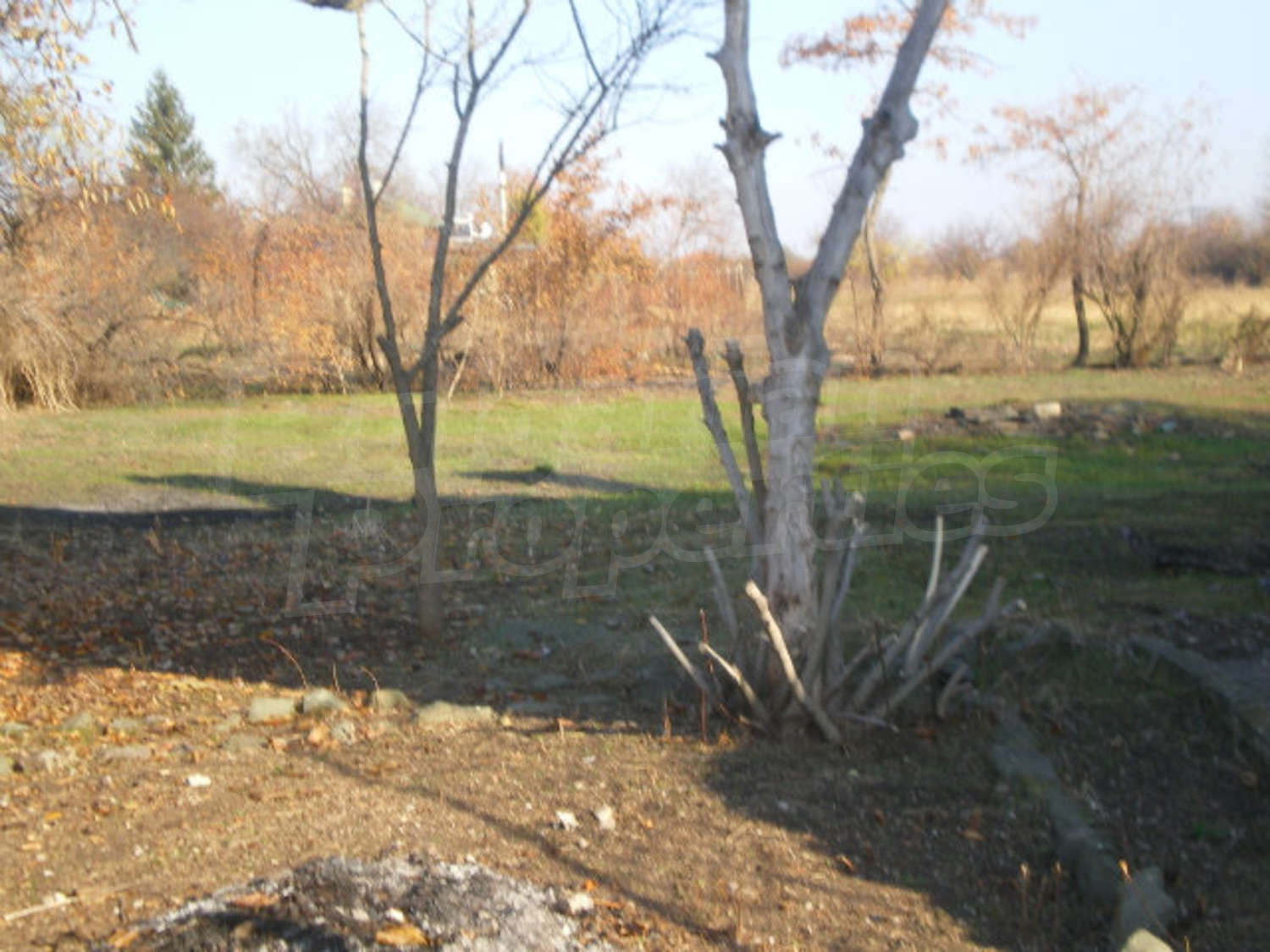 Gallery Picture 26
