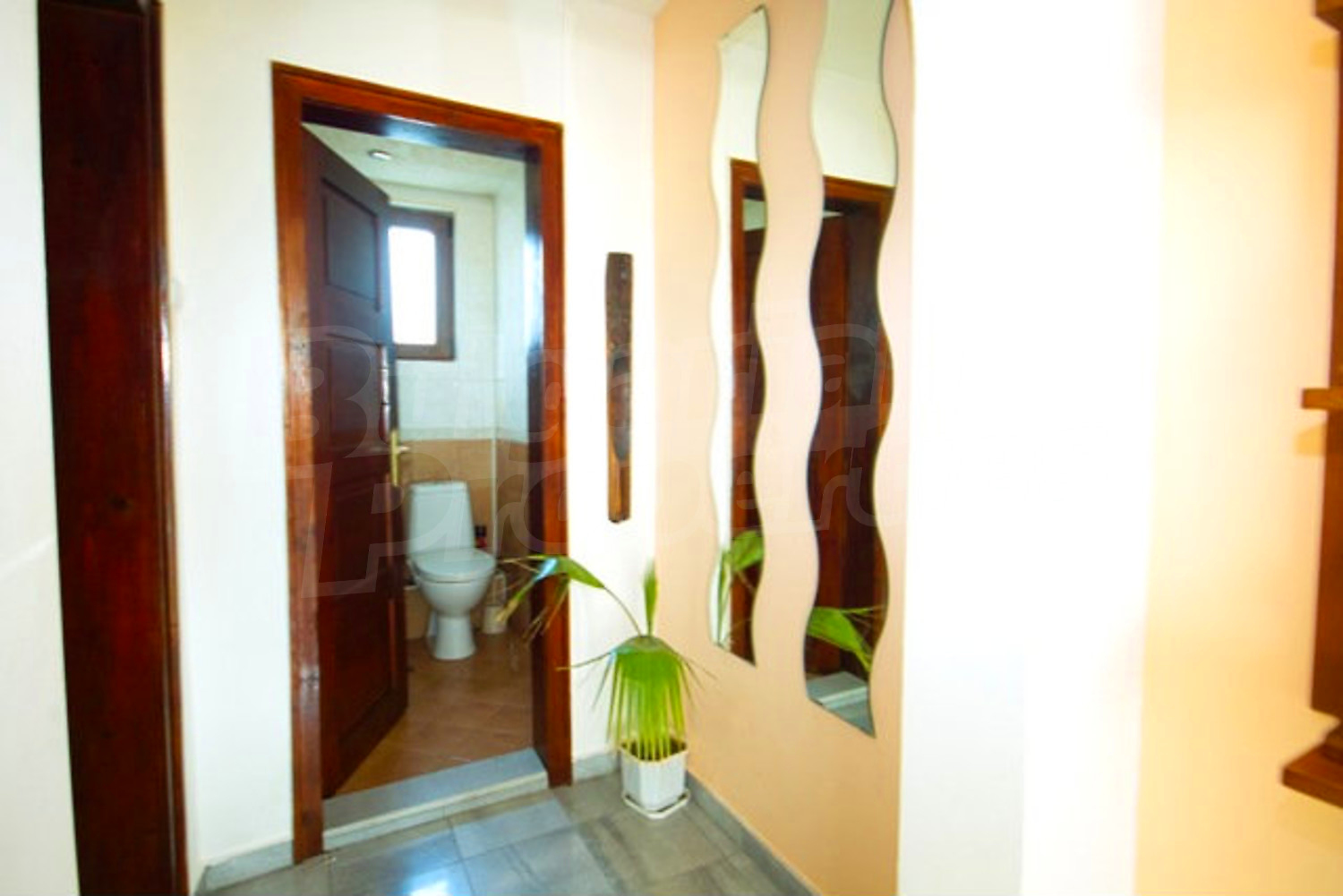 Gallery Picture 17