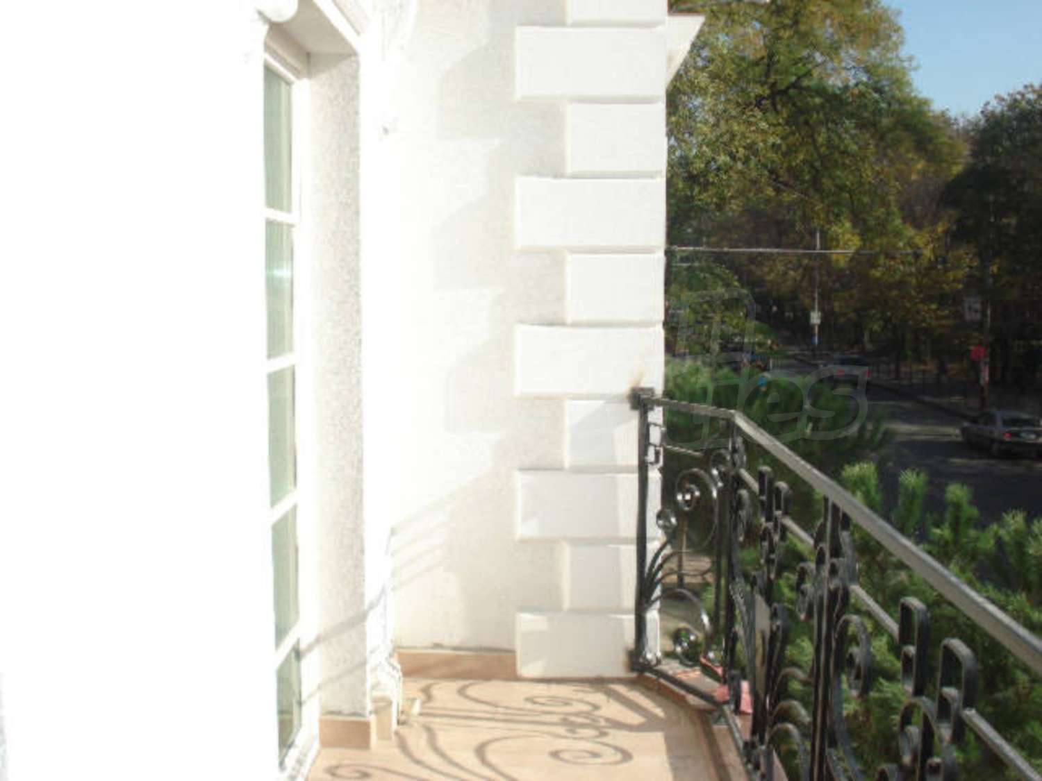 Gallery Picture 14