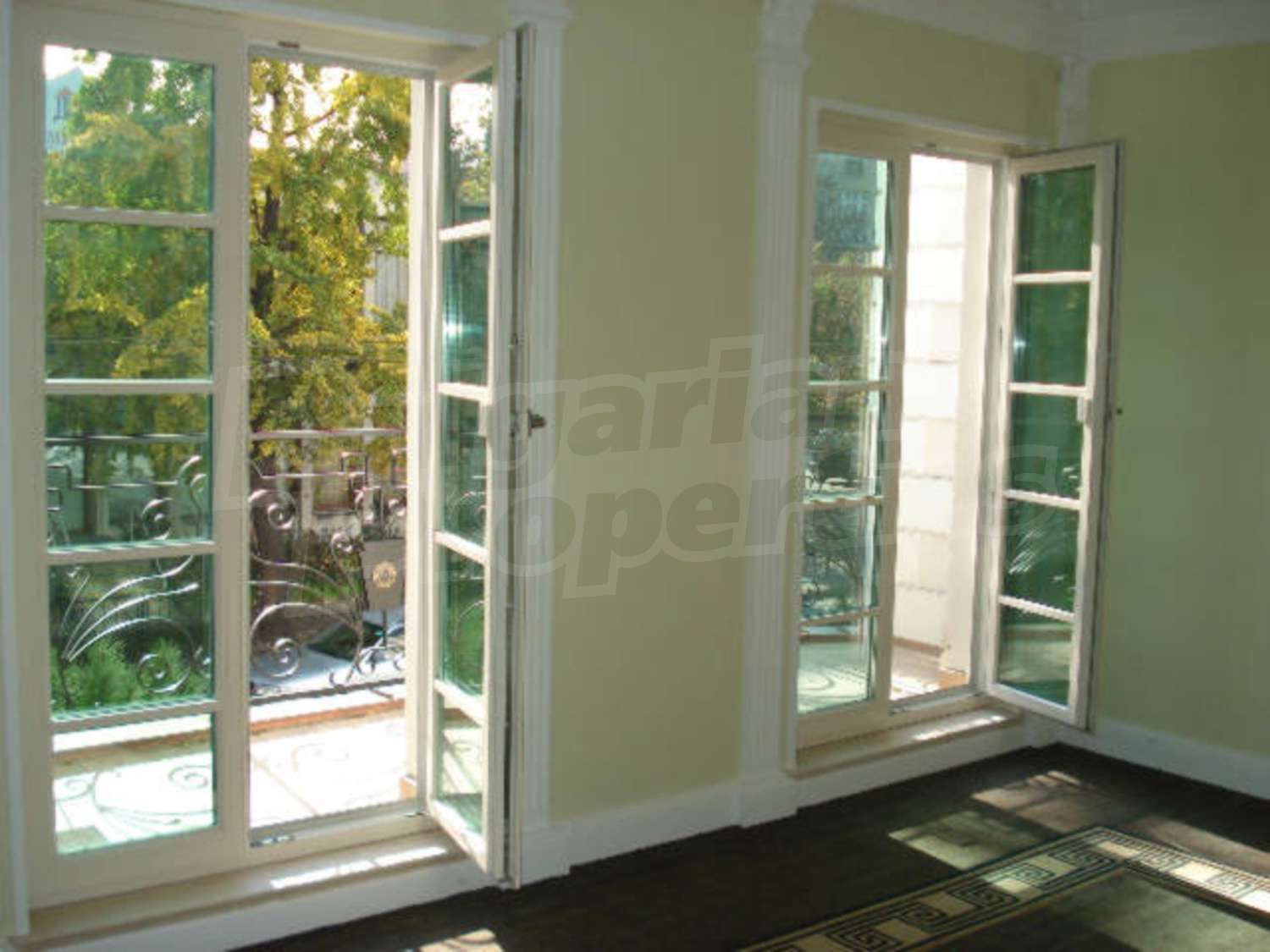 Gallery Picture 16
