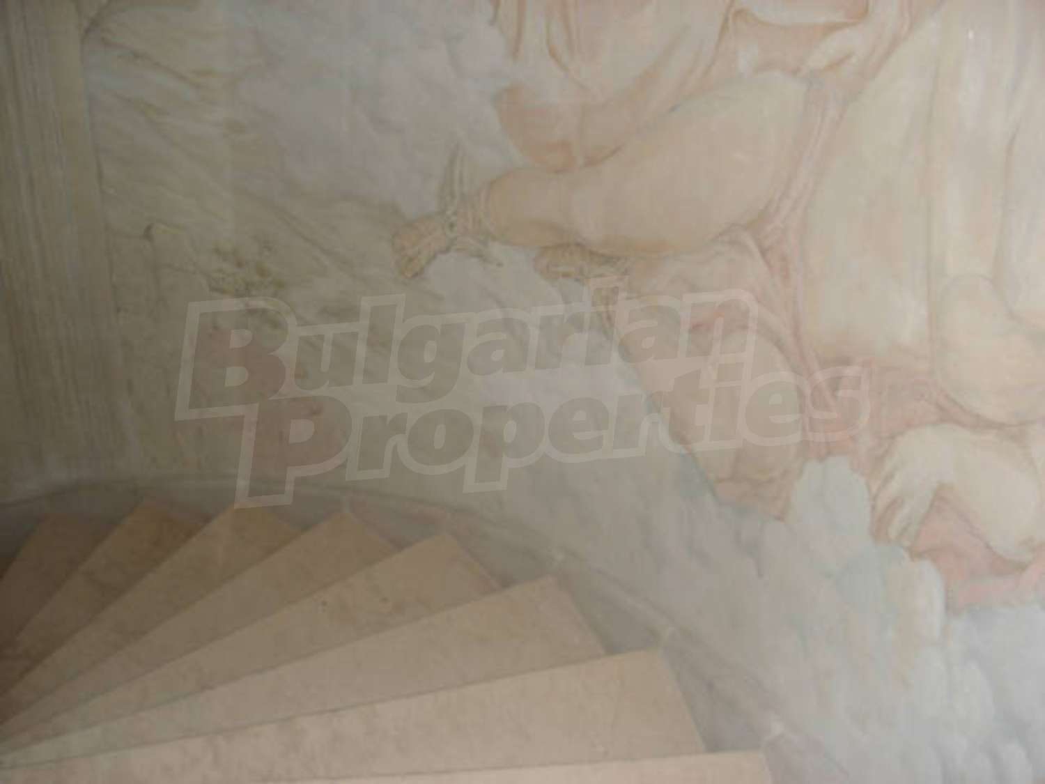 Gallery Picture 20