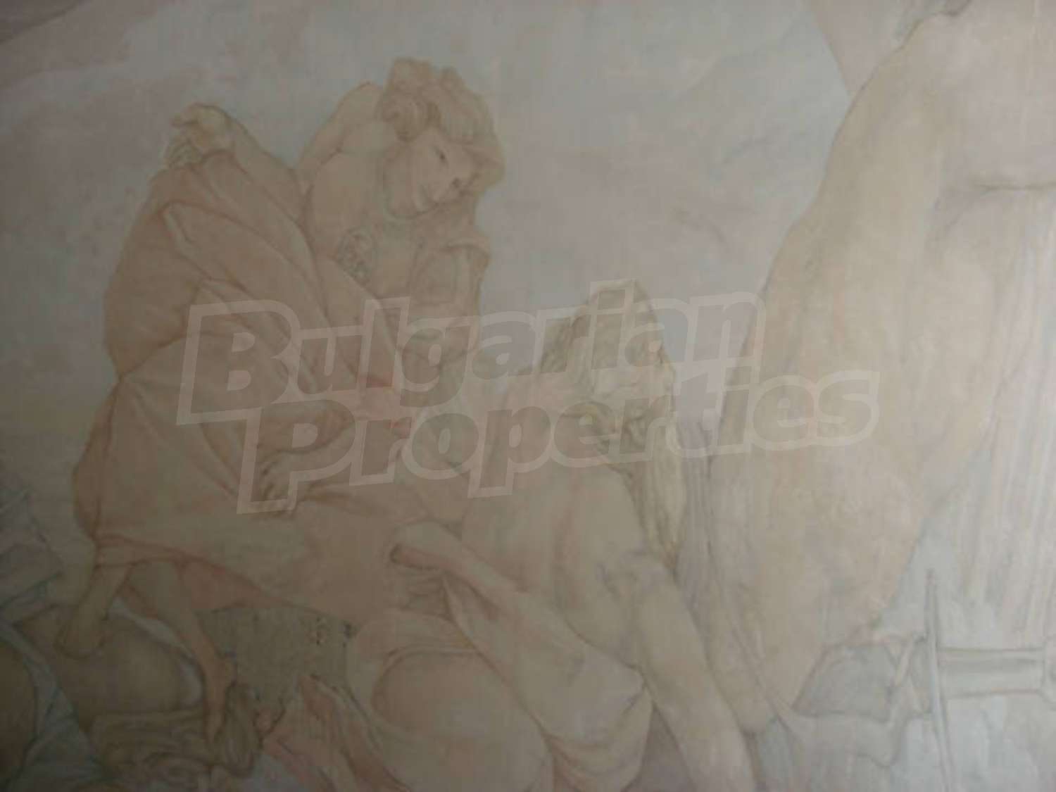 Gallery Picture 22