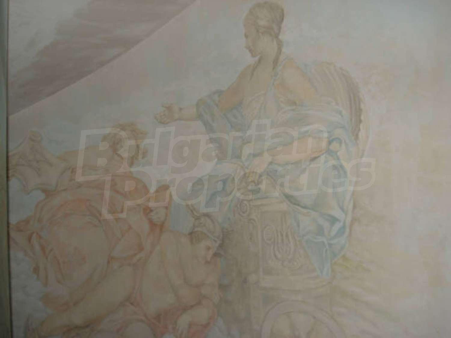 Gallery Picture 24