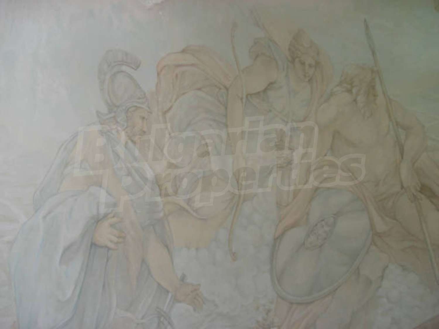 Gallery Picture 25