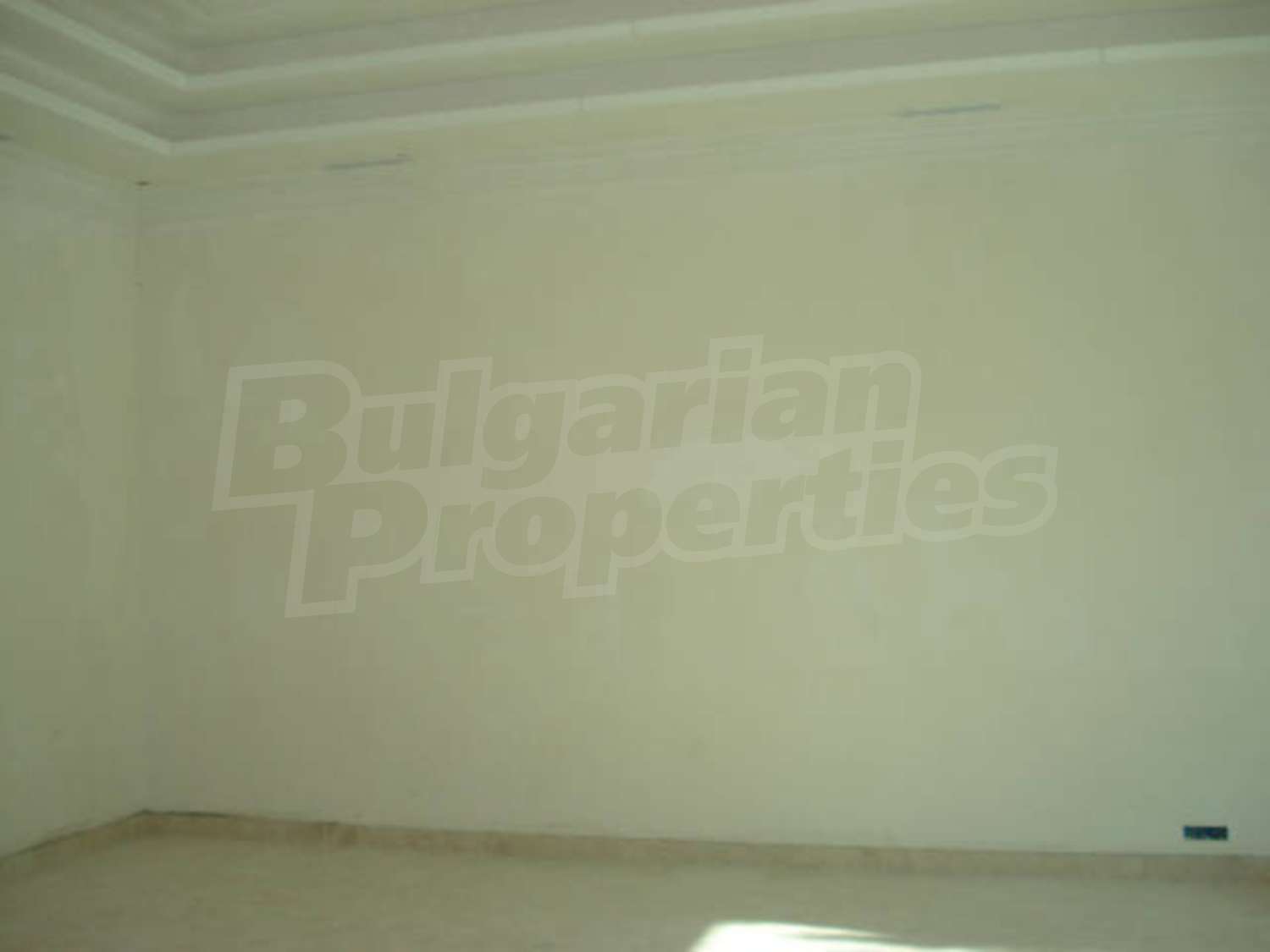 Gallery Picture 26