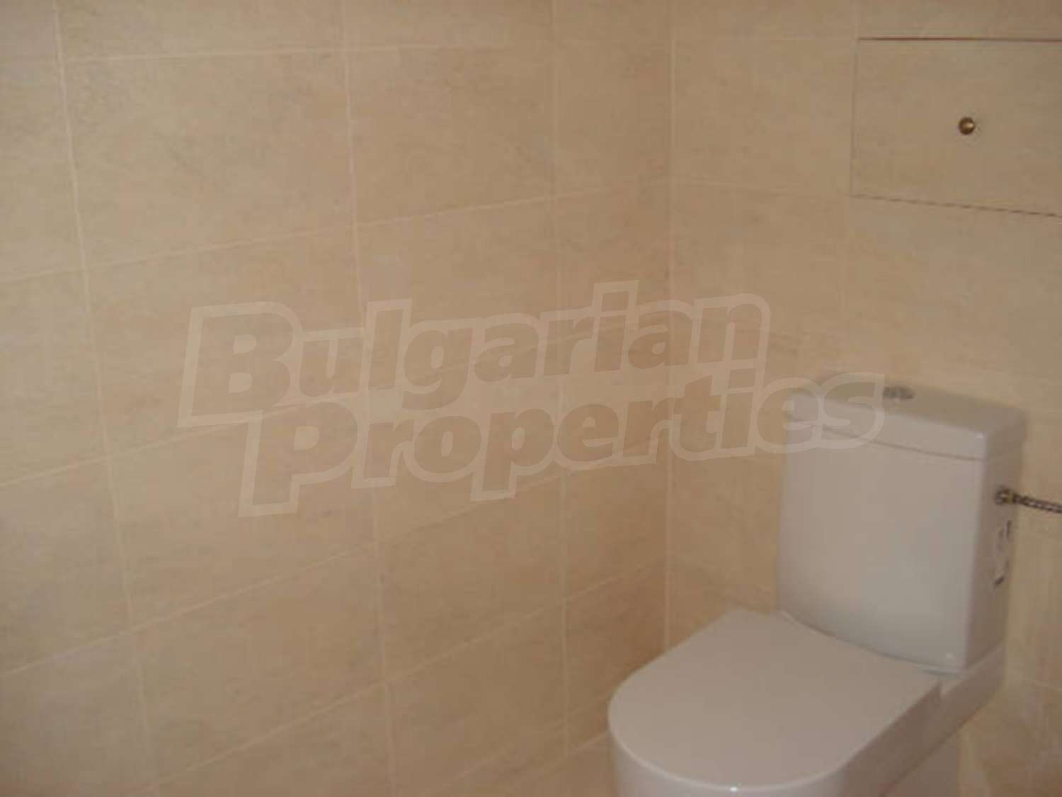 Gallery Picture 30