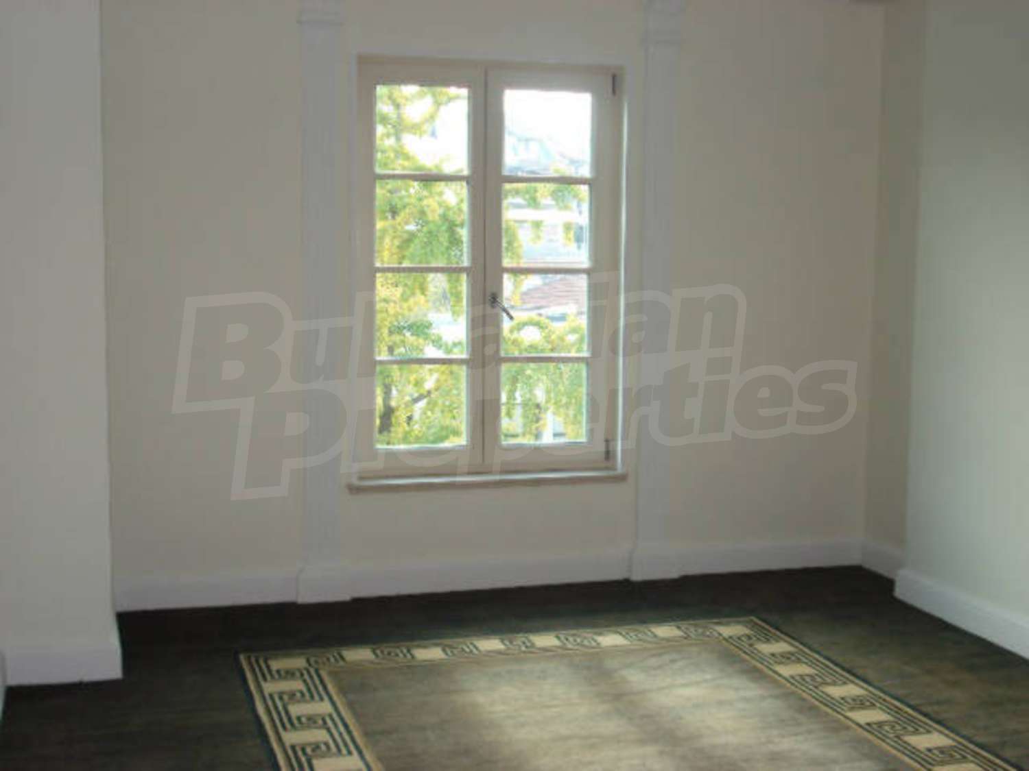 Gallery Picture 5