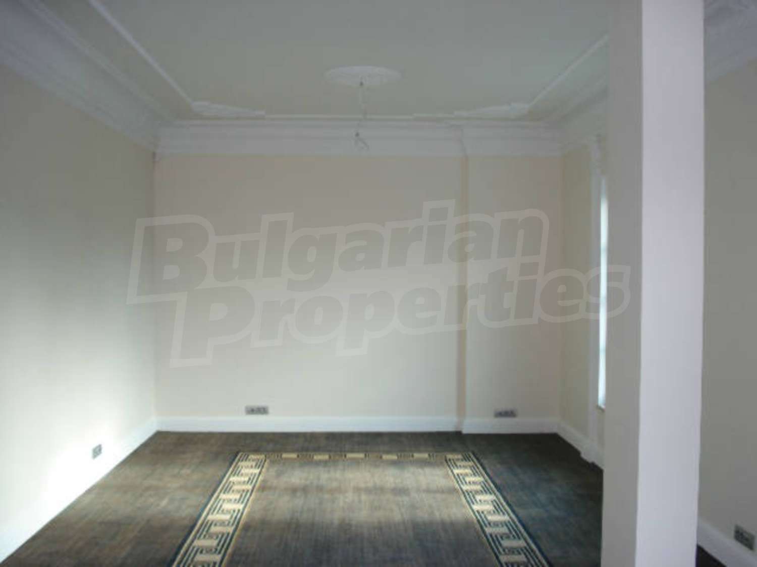 Gallery Picture 6