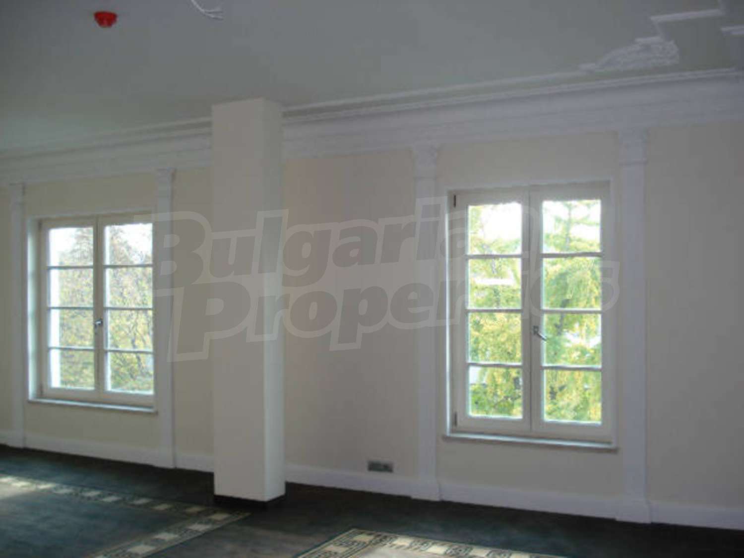 Gallery Picture 7