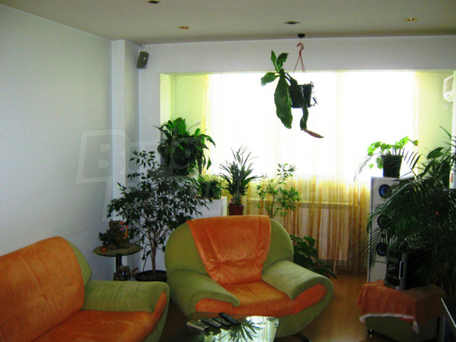 Gallery Picture 2