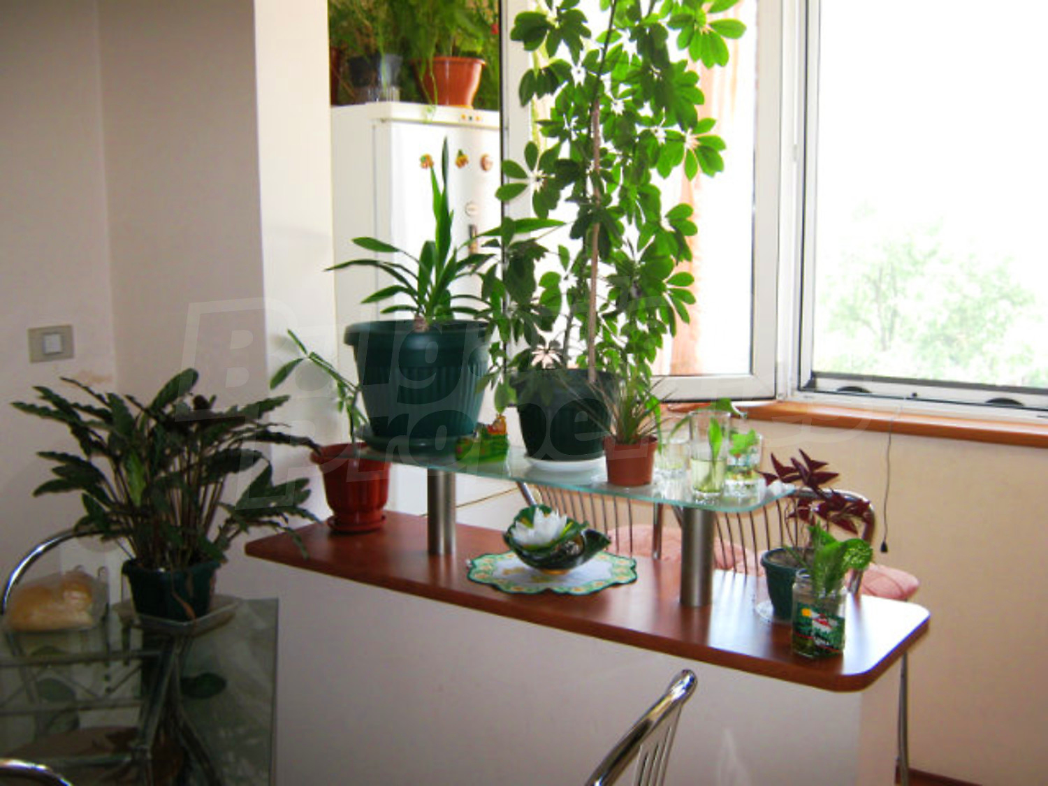 Gallery Picture 4