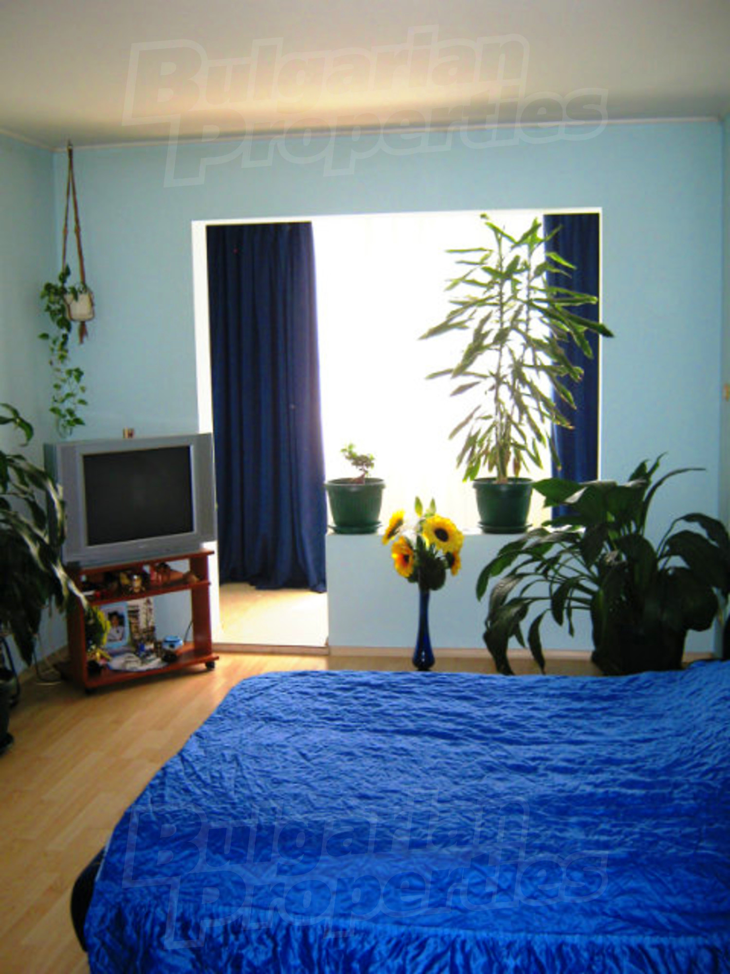 Gallery Picture 7