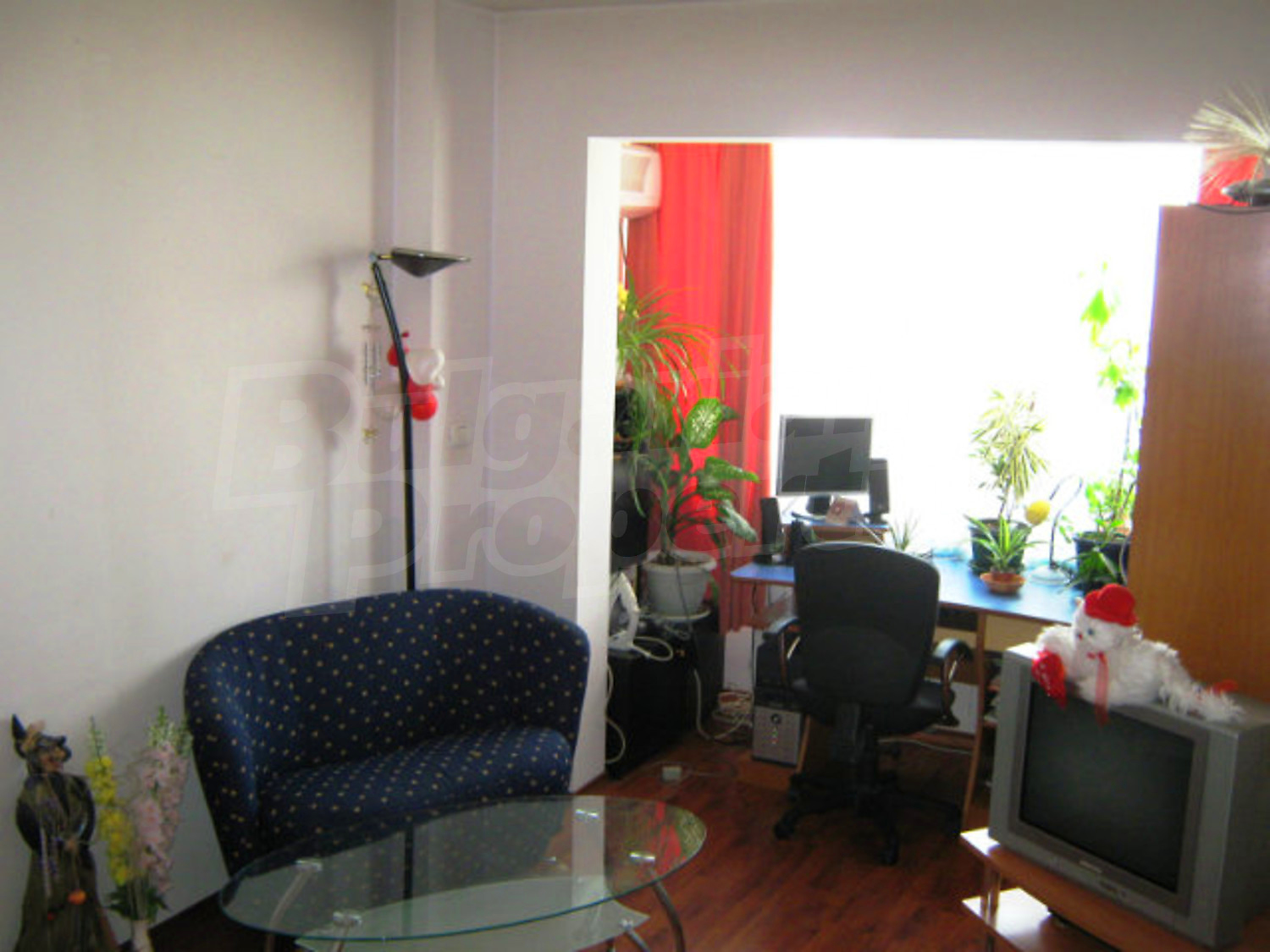 Gallery Picture 9