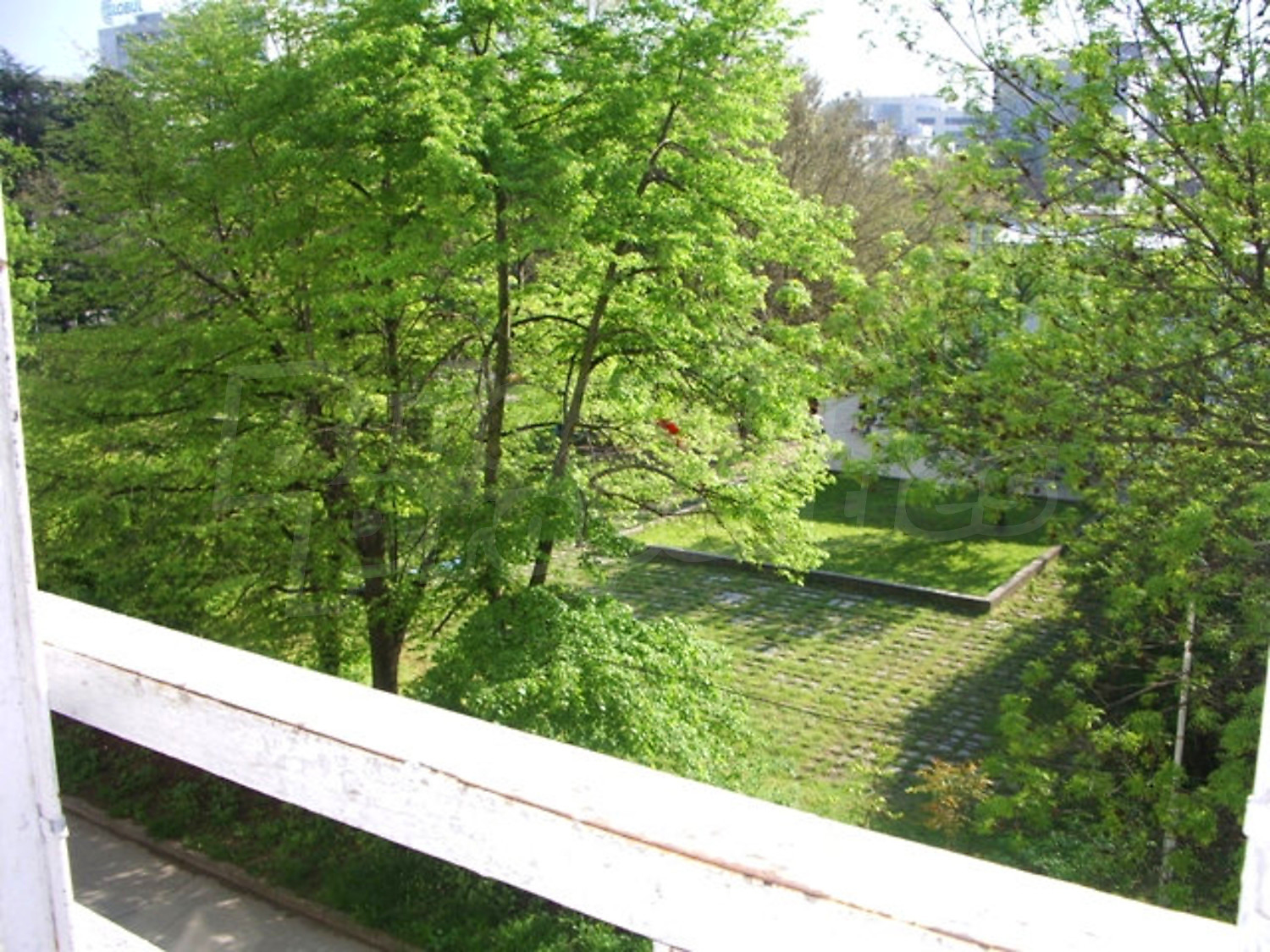 Gallery Picture 9