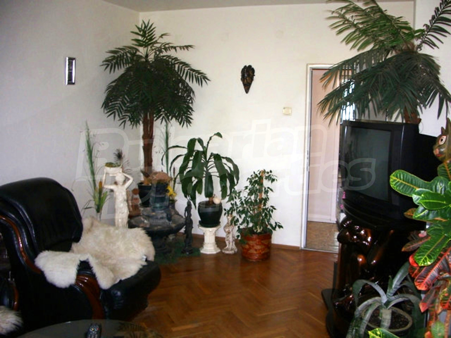 Gallery Picture 3