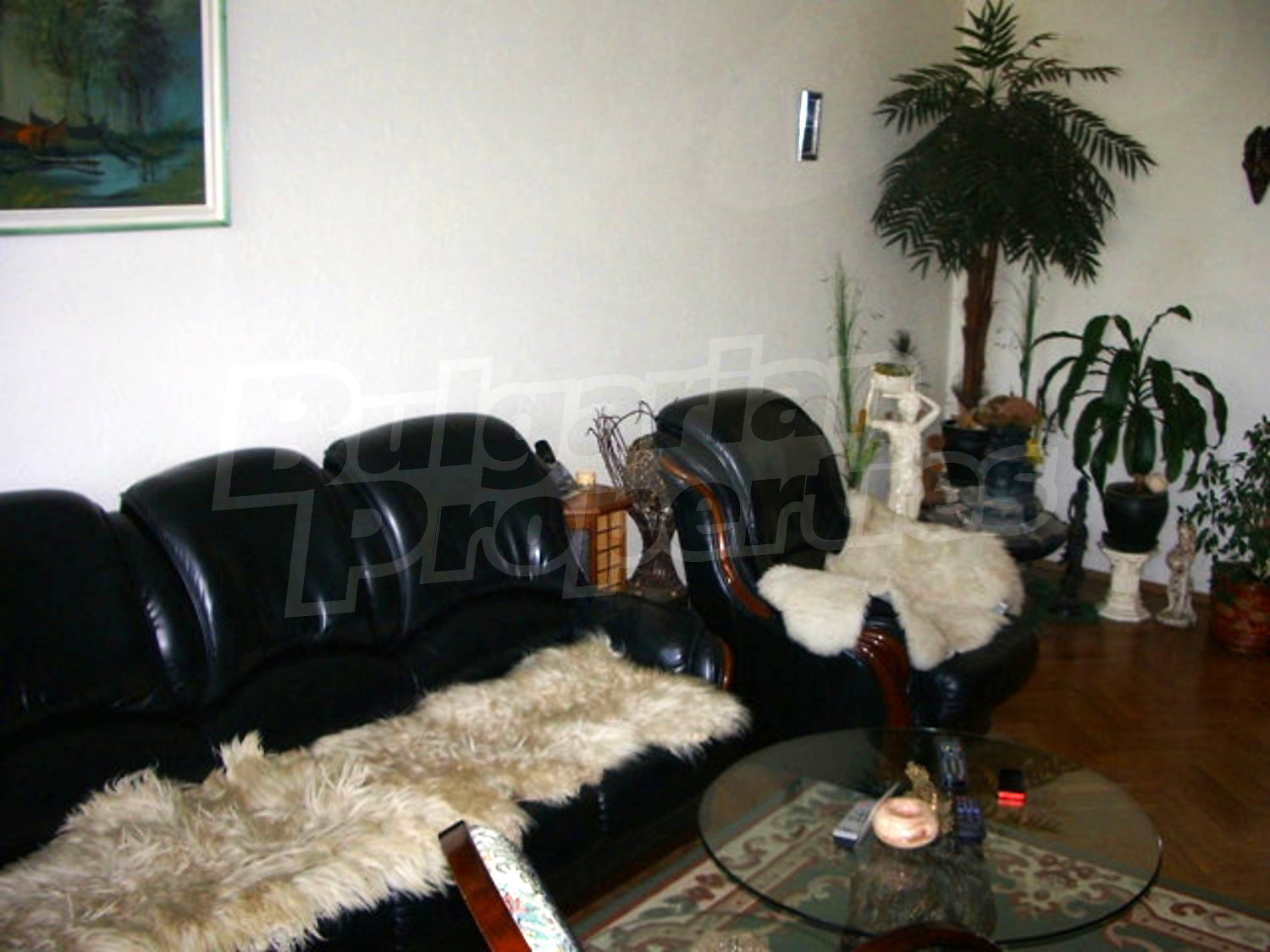 Gallery Picture 2