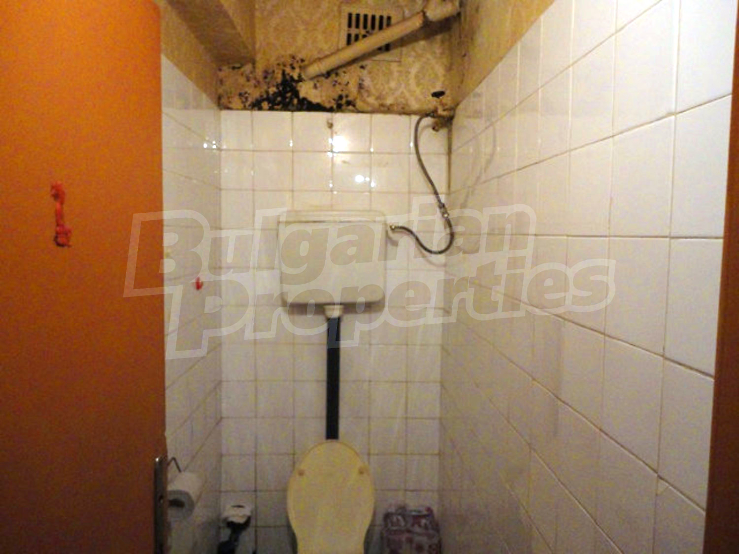 Gallery Picture 18